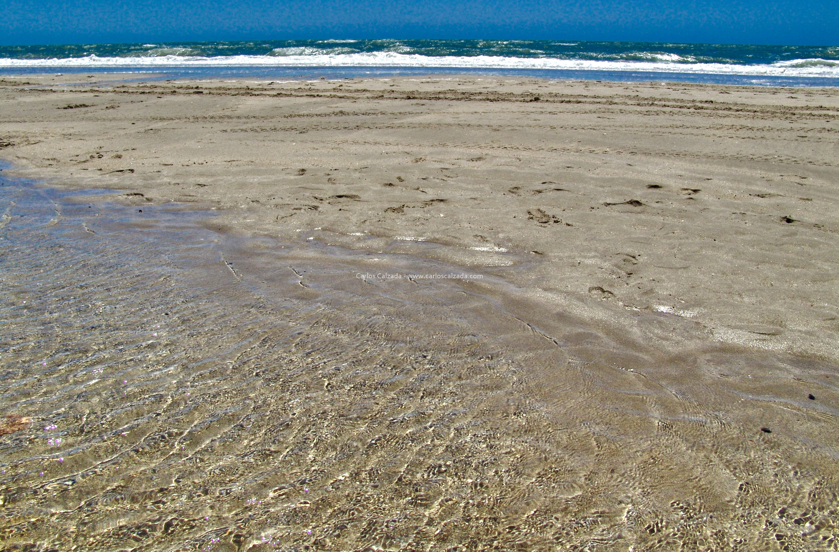 Arenosa_2008 (24).jpg